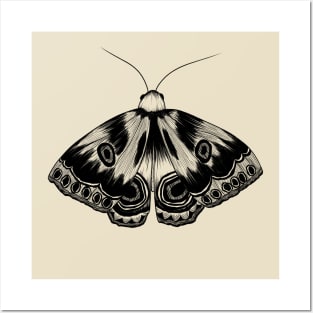 Moth Posters and Art